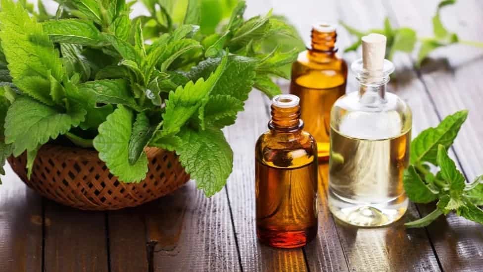 عرقیات گیاهی گرم کدامند؟