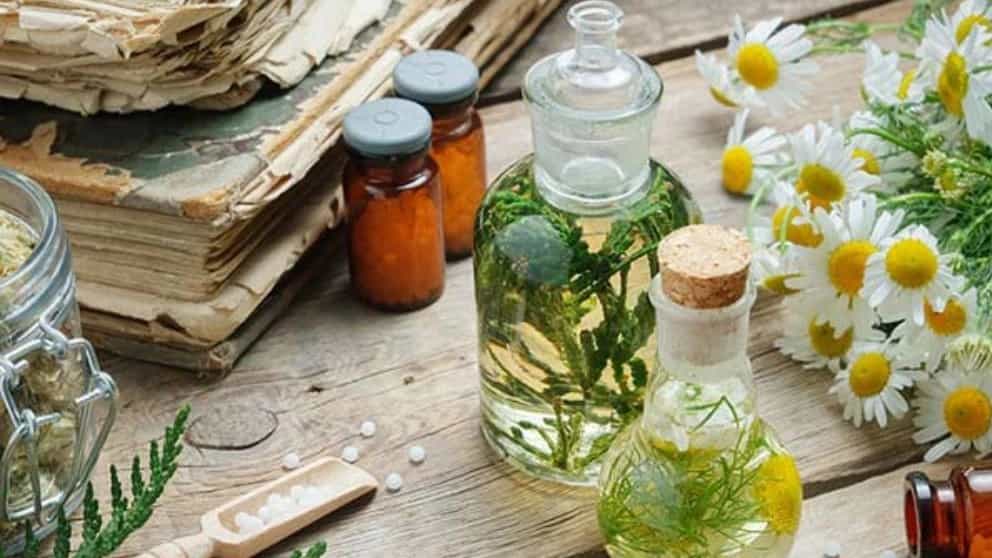 بهترین و پر کاربرد ترین گیاهان دارویی