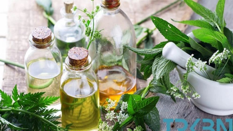 بهترین و پر کاربرد ترین گیاهان دارویی